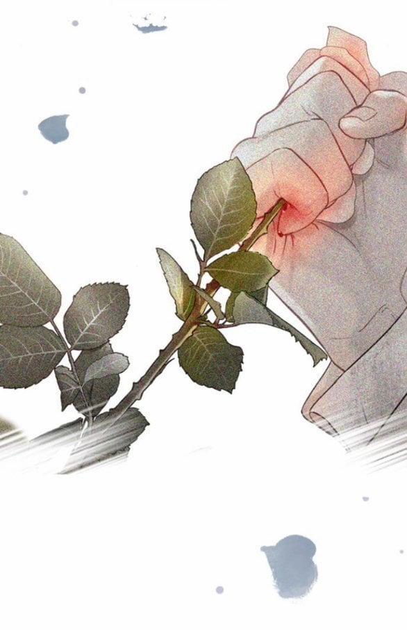 Khóc Đi Hay Là Cầu Xin Tôi Cũng Được 41 trang 28