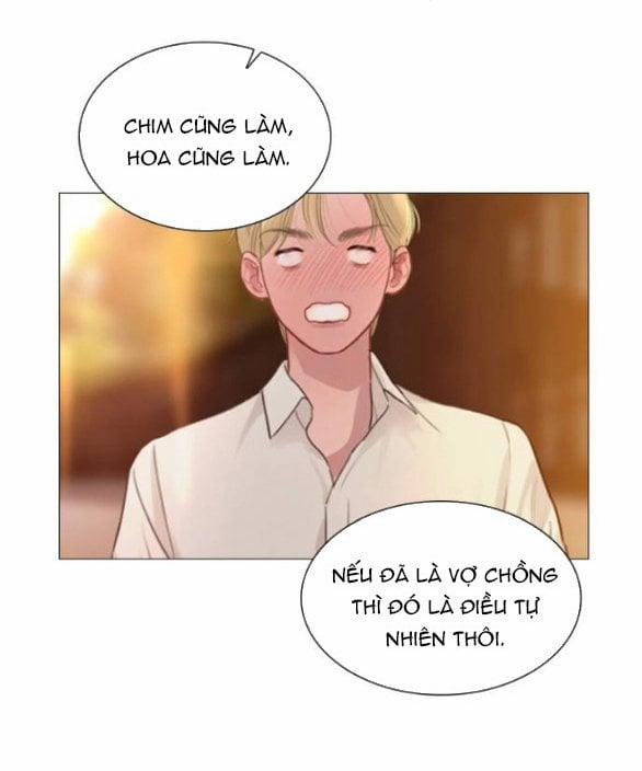 Khóc Đi Hay Là Cầu Xin Tôi Cũng Được 42 trang 12