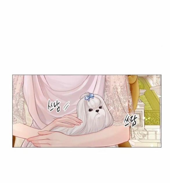 Khóc Đi Hay Là Cầu Xin Tôi Cũng Được 5.1 trang 33