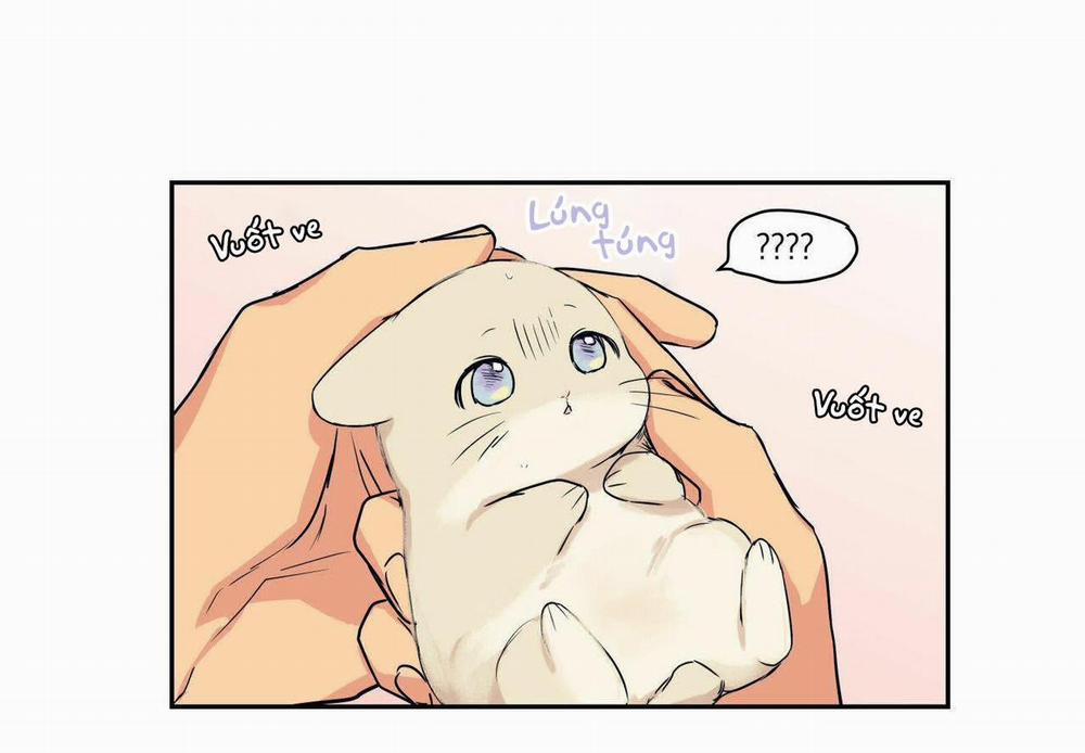 Không Chốn Yêu Đương 0 Ngoại truyện trang 37