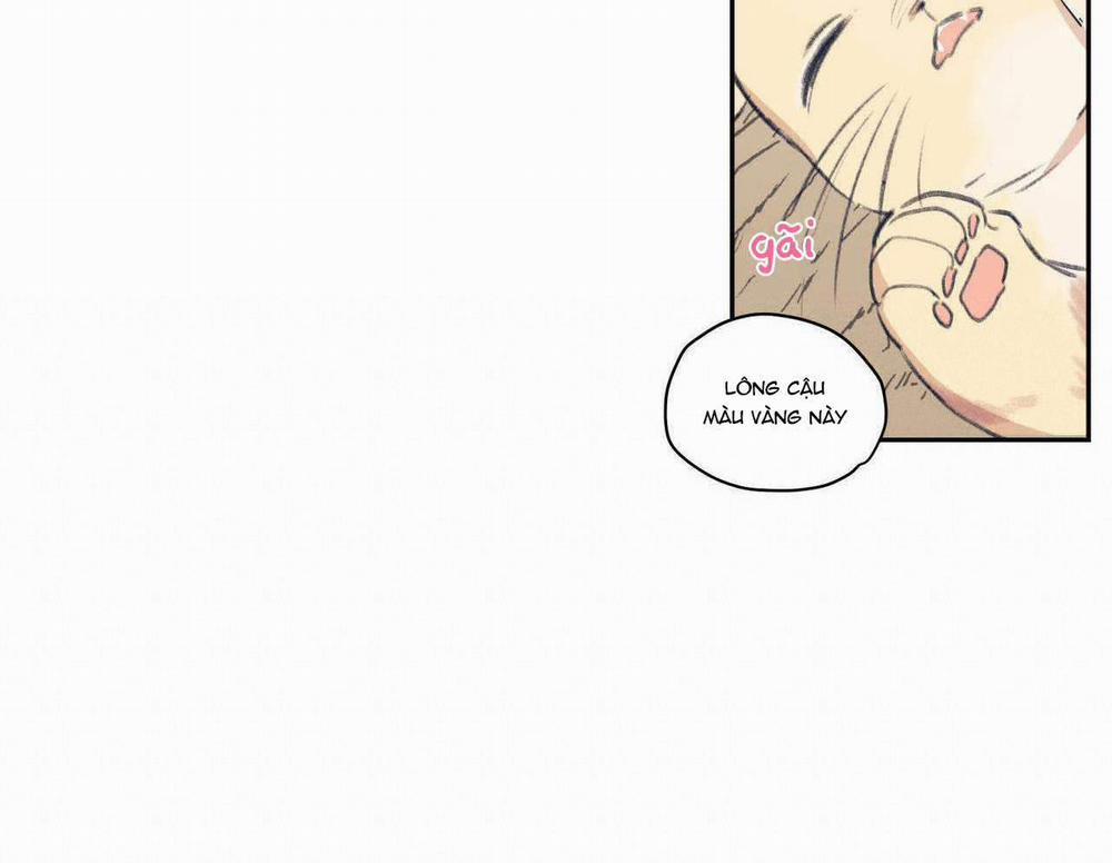 Không Chốn Yêu Đương 0 side story 13 trang 19