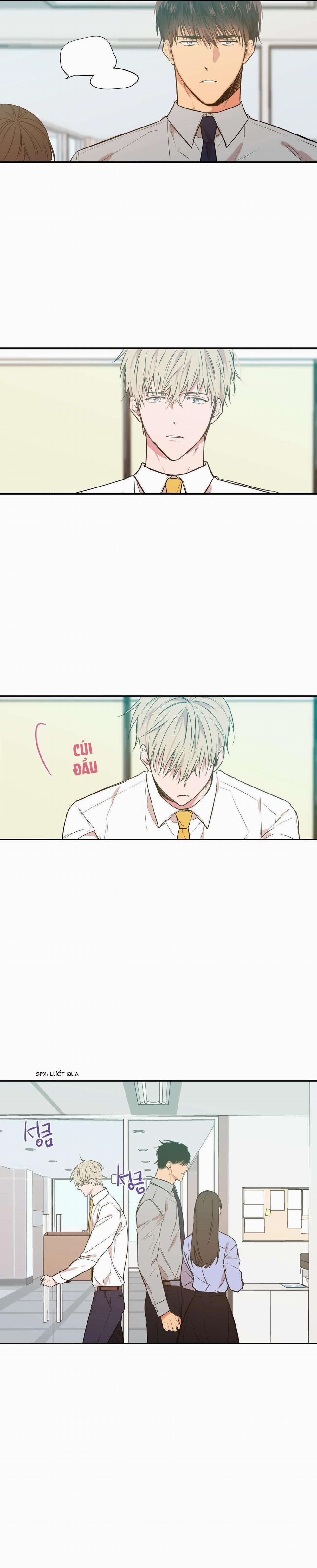 Không Chốn Yêu Đương 13 trang 6