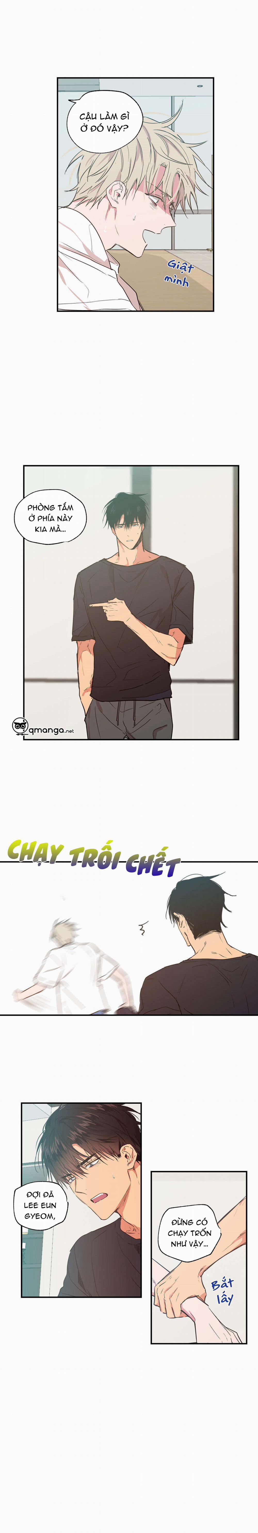 Không Chốn Yêu Đương 17 trang 4