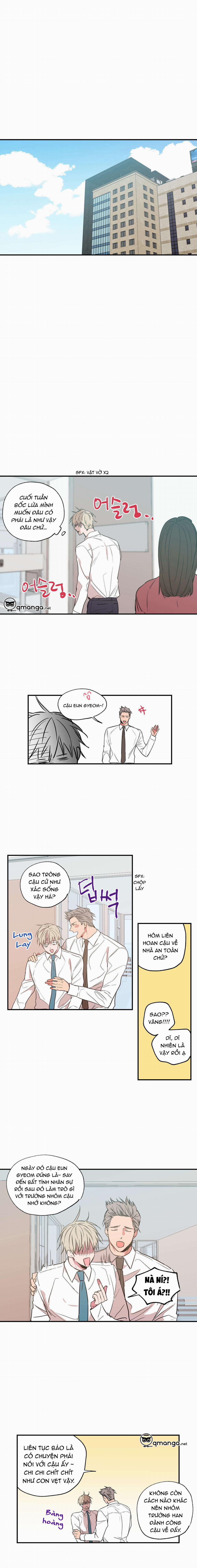 Không Chốn Yêu Đương 17 trang 8