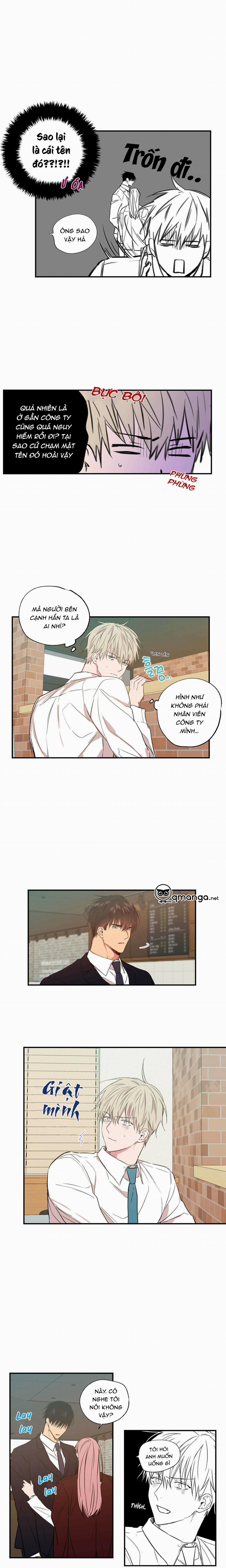 Không Chốn Yêu Đương 19 trang 5