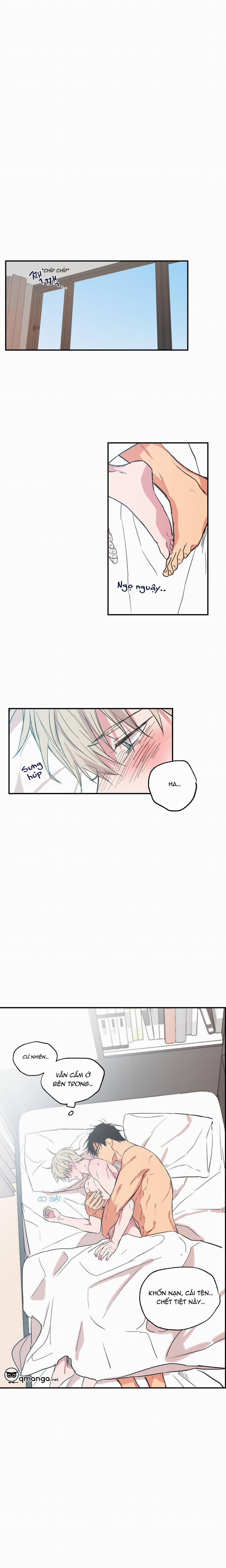 Không Chốn Yêu Đương 24 trang 10