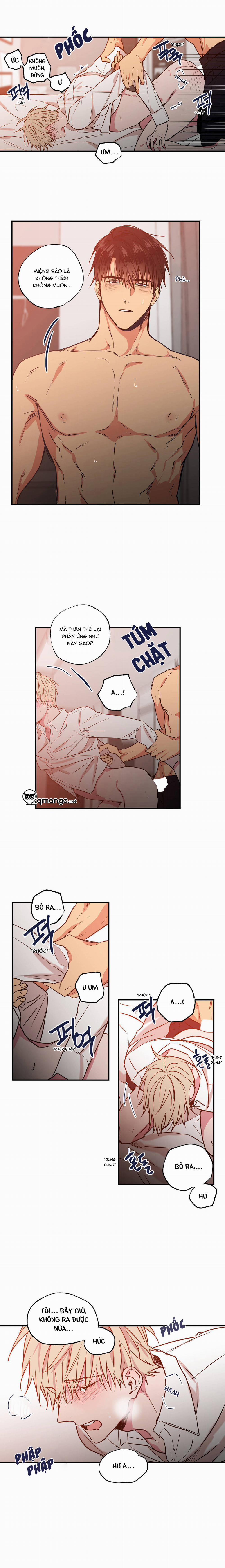 Không Chốn Yêu Đương 24 trang 3