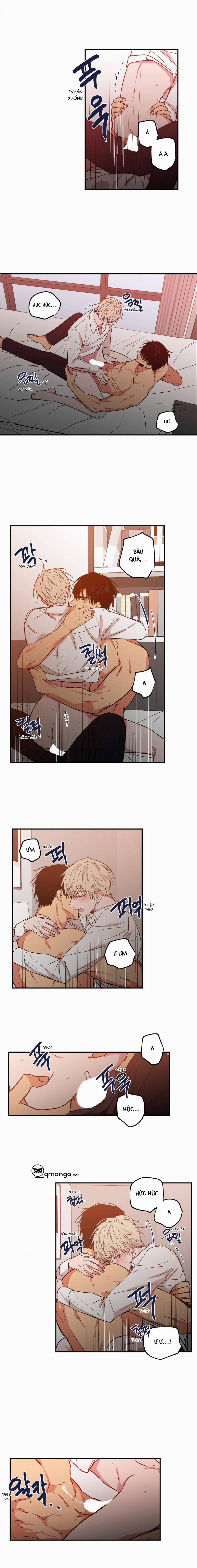 Không Chốn Yêu Đương 24 trang 7