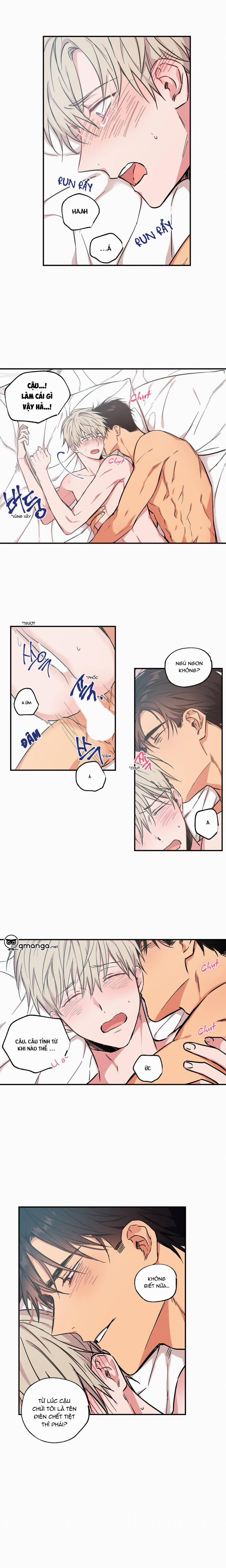 Không Chốn Yêu Đương 25 trang 3
