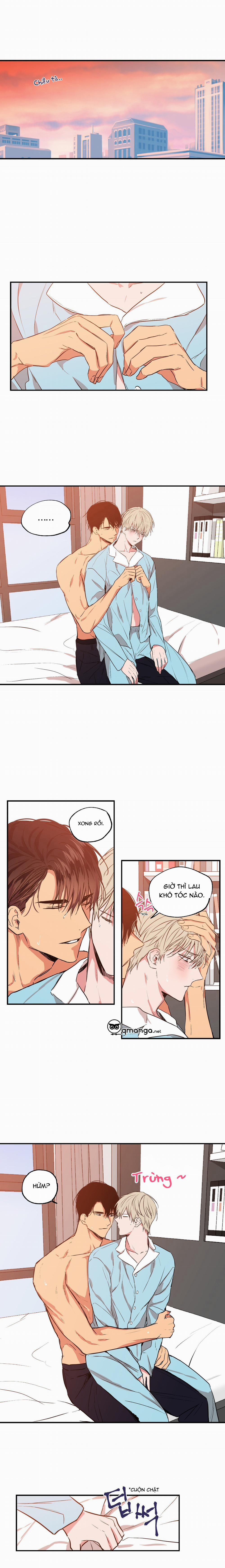 Không Chốn Yêu Đương 26 trang 2