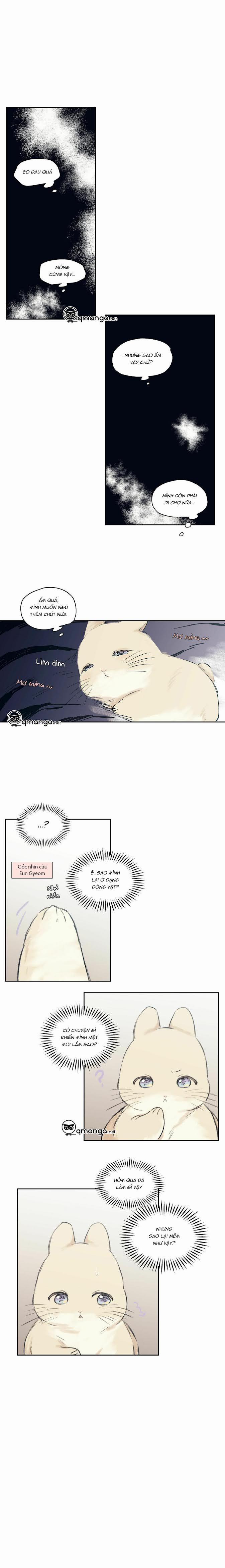 Không Chốn Yêu Đương Side Story 6 trang 17