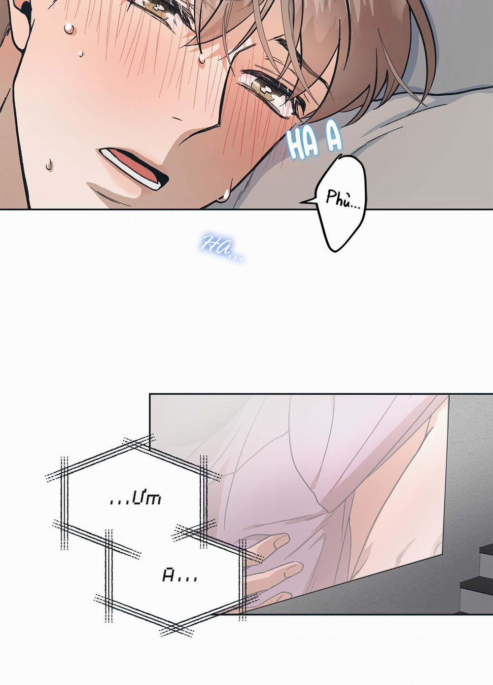 KHÔNG CÓ DIỄN XUẤT VĨNH CỬU 3 trang 6