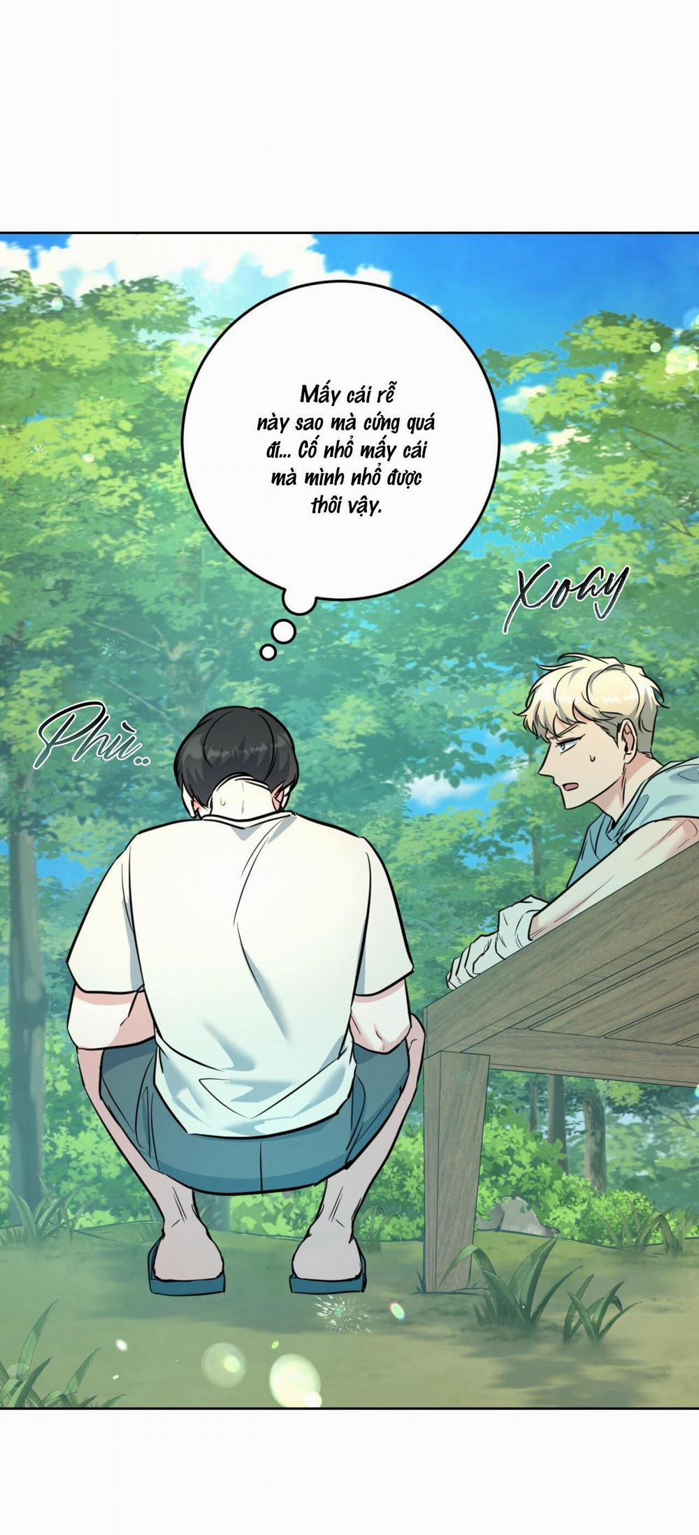 Khu Rừng Tĩnh Lặng 15 trang 6
