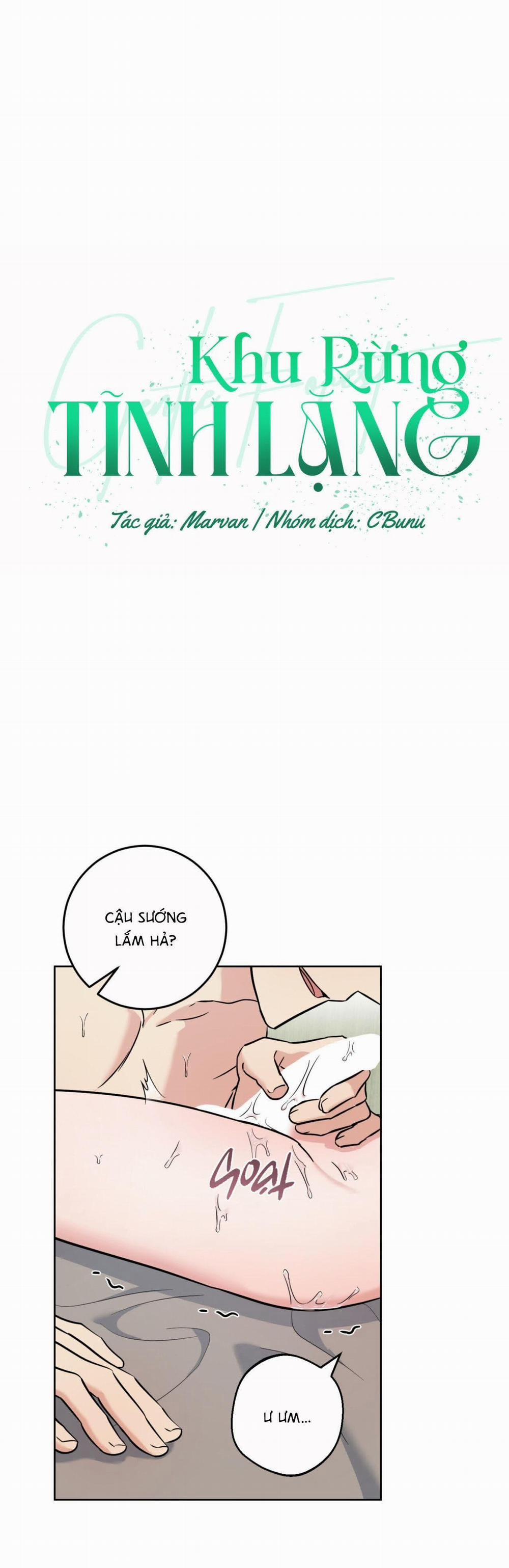 Khu Rừng Tĩnh Lặng 24 trang 1