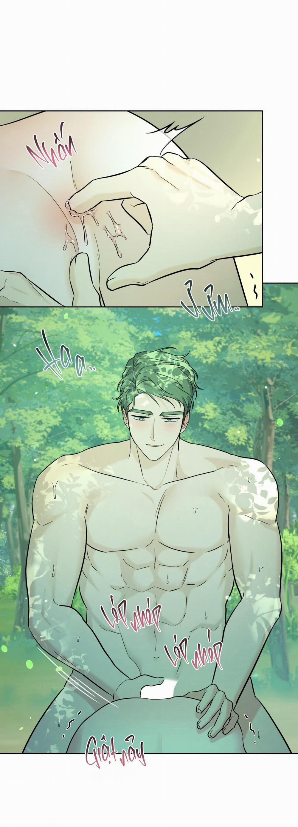 Khu Rừng Tĩnh Lặng 27 trang 4