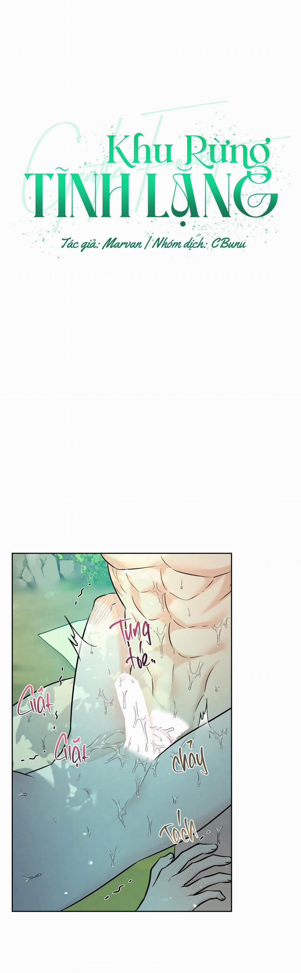 Khu Rừng Tĩnh Lặng 28 trang 1