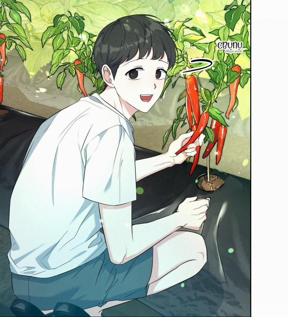 Khu Rừng Tĩnh Lặng 3 trang 28