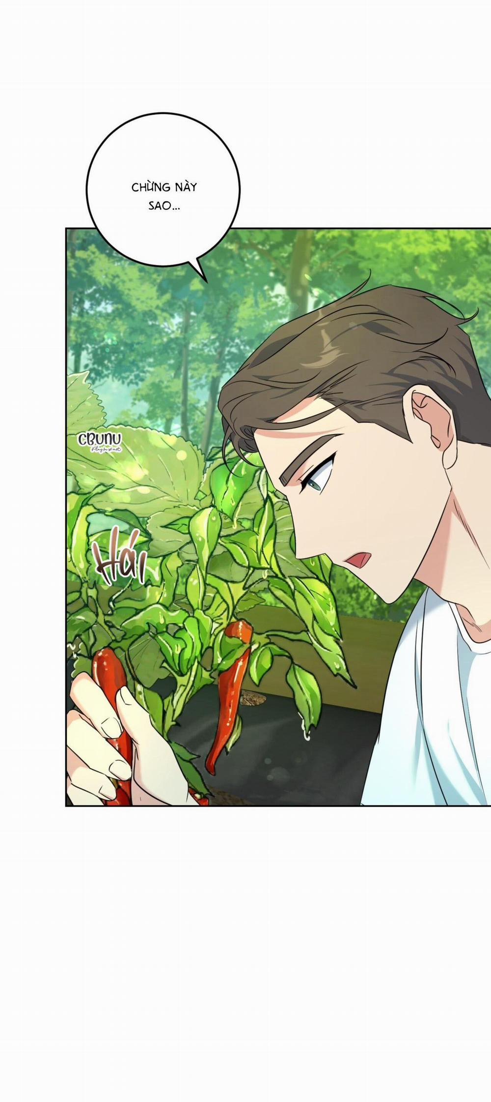 Khu Rừng Tĩnh Lặng 3 trang 30