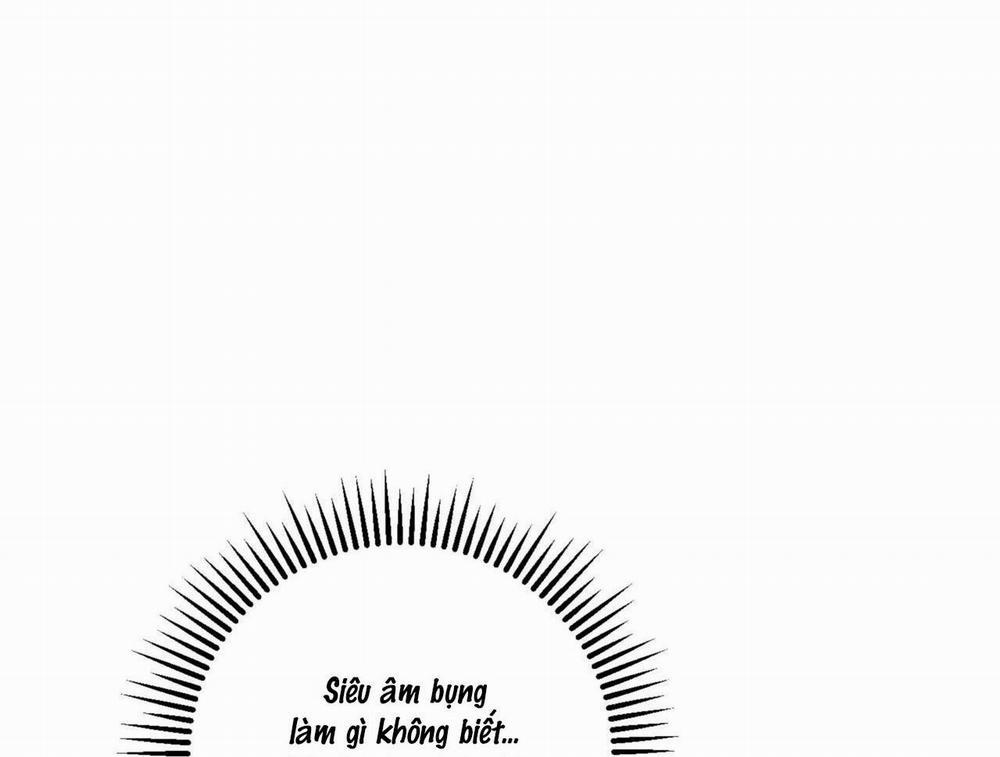 Khu Rừng Tĩnh Lặng 33 trang 47