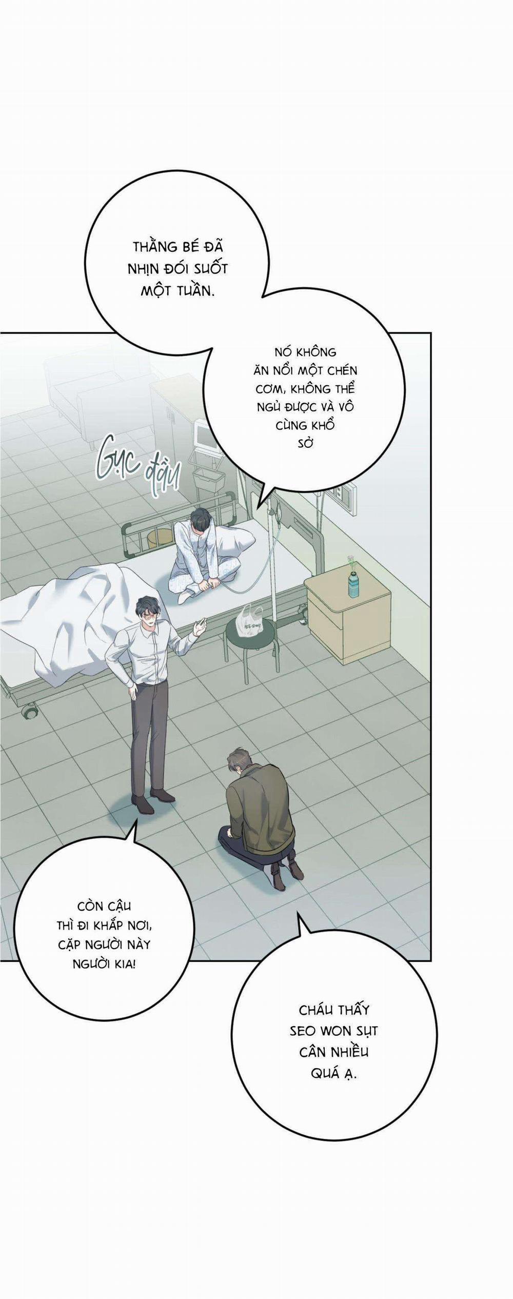 Khu Rừng Tĩnh Lặng 36 trang 37