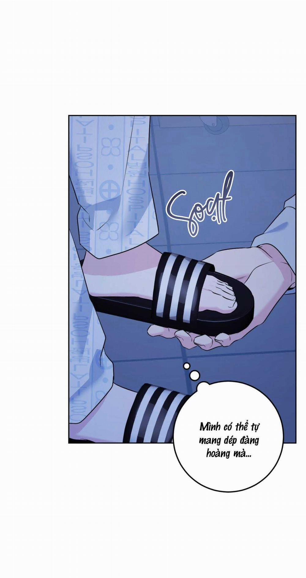 Khu Rừng Tĩnh Lặng 37 trang 6