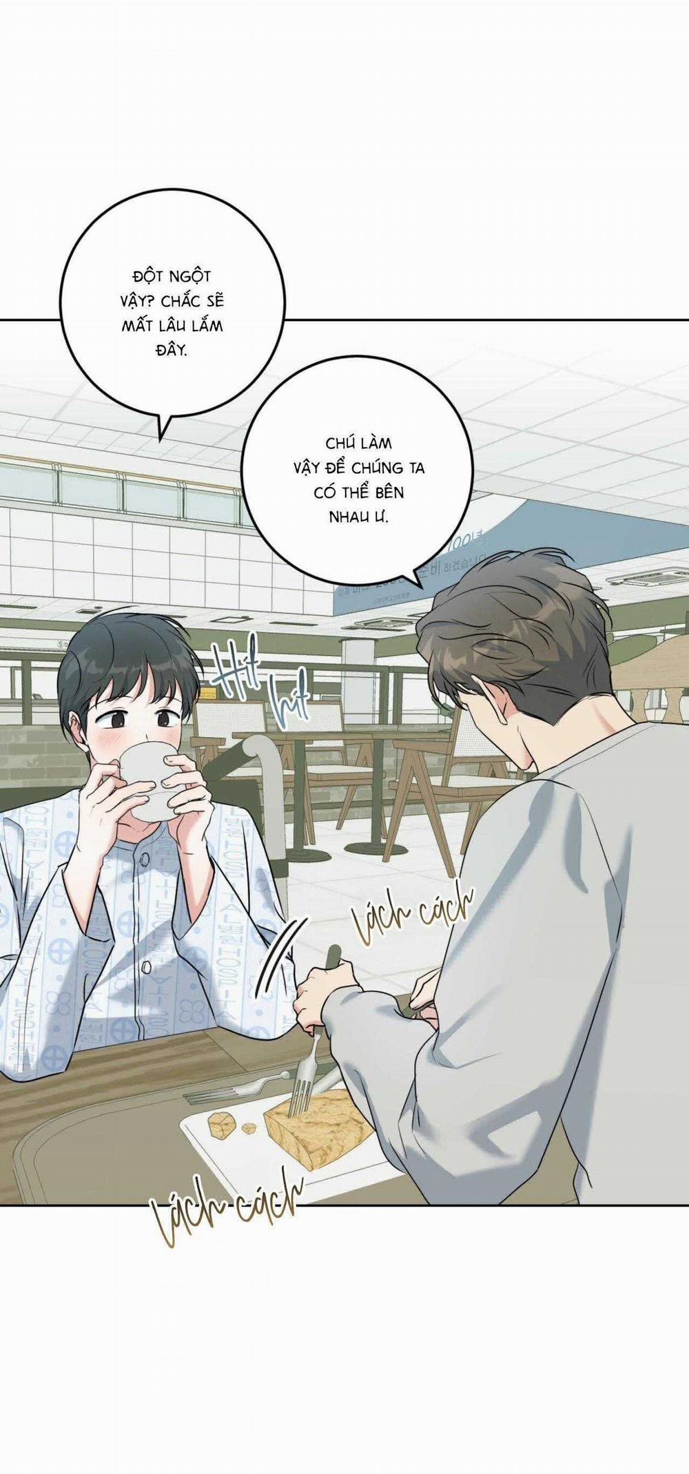 Khu Rừng Tĩnh Lặng 38 trang 43