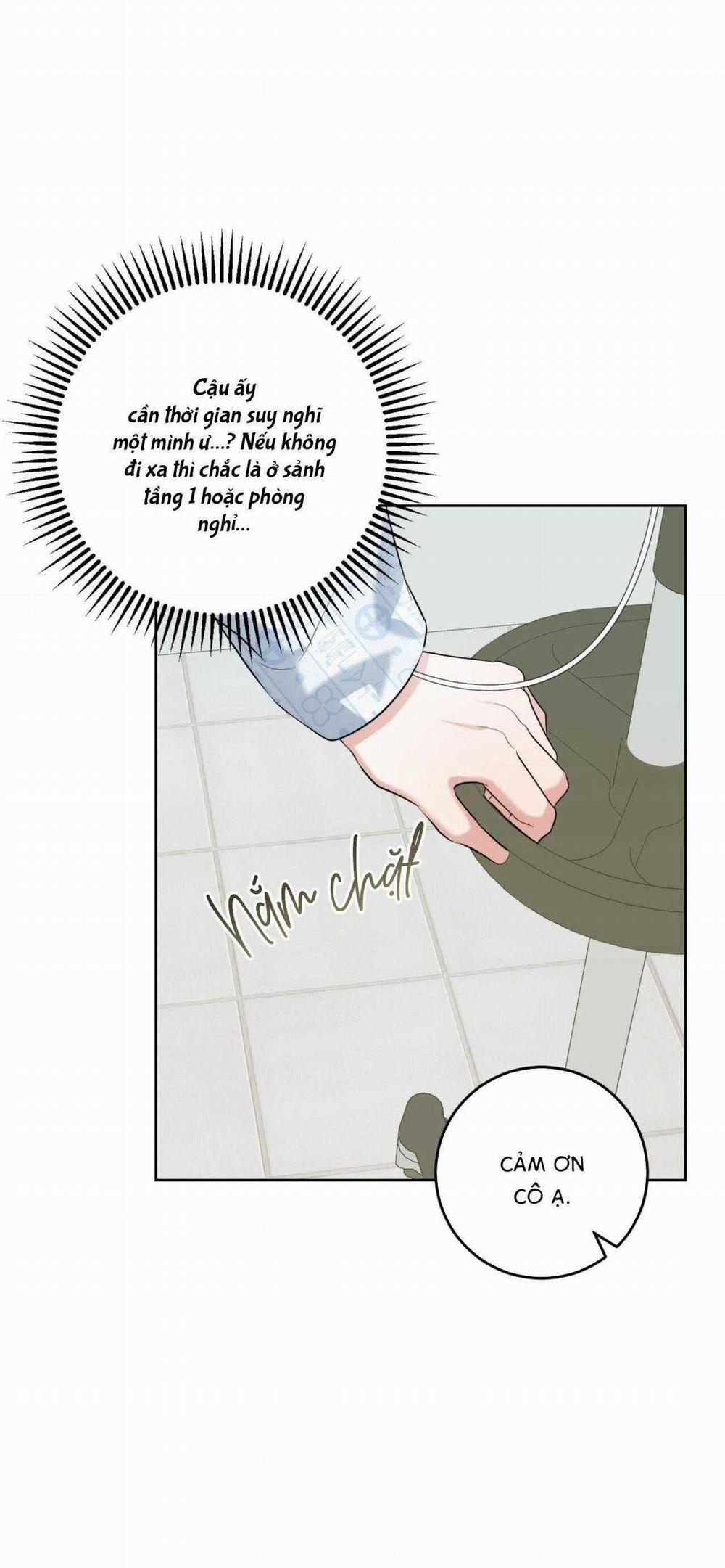 Khu Rừng Tĩnh Lặng 40 trang 10