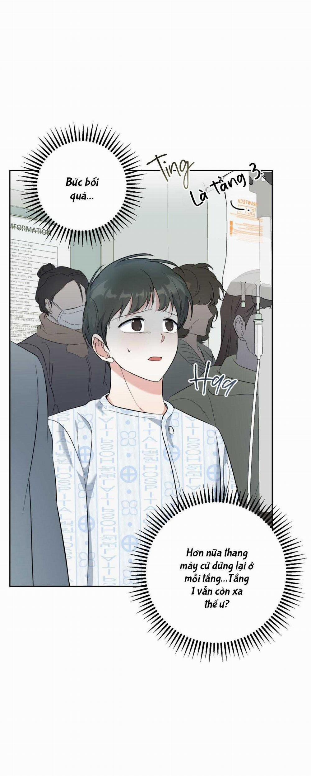 Khu Rừng Tĩnh Lặng 40 trang 19