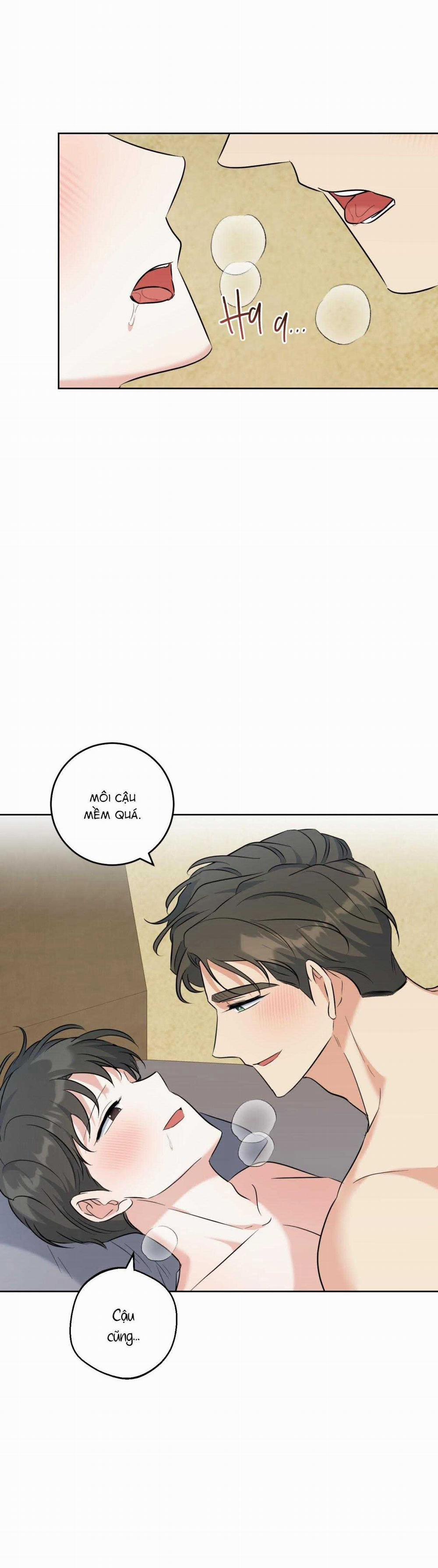 Khu Rừng Tĩnh Lặng 43 trang 14