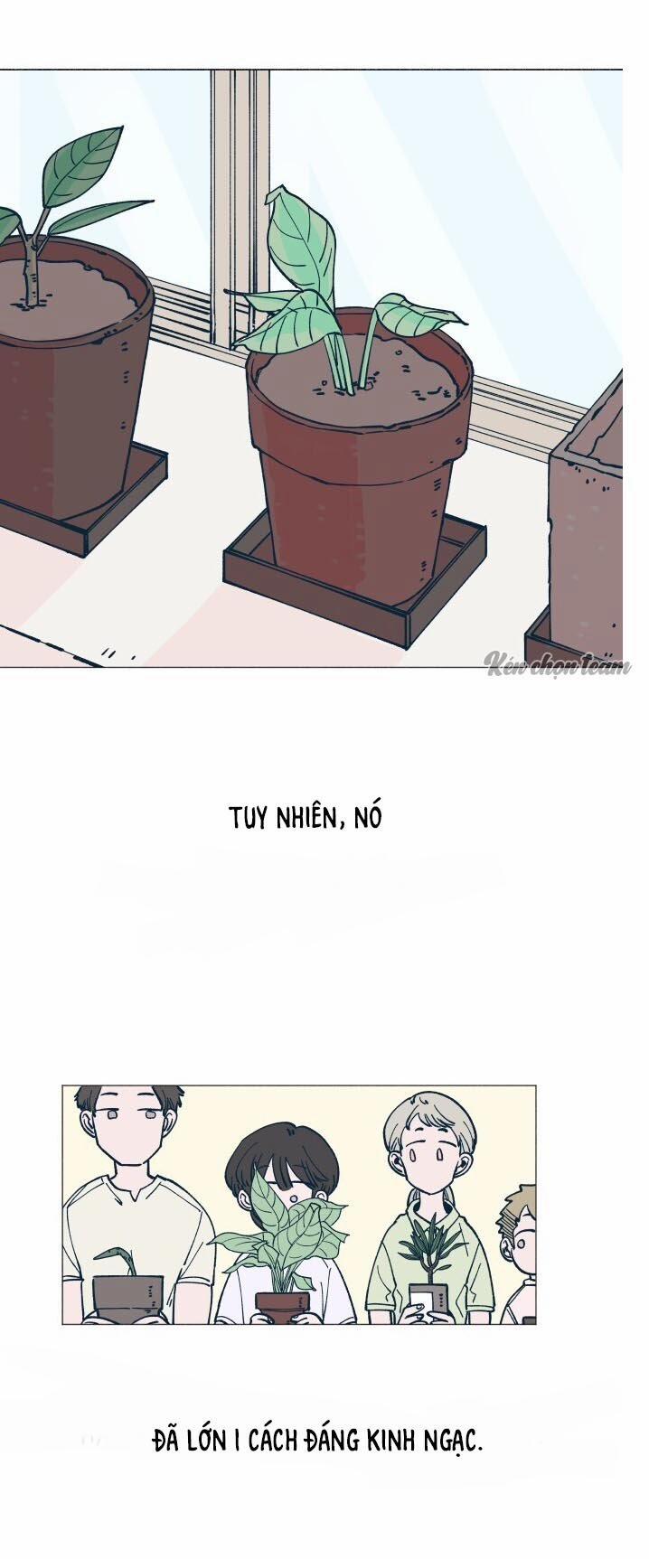 Khu Vườn Của Dam 1 trang 5