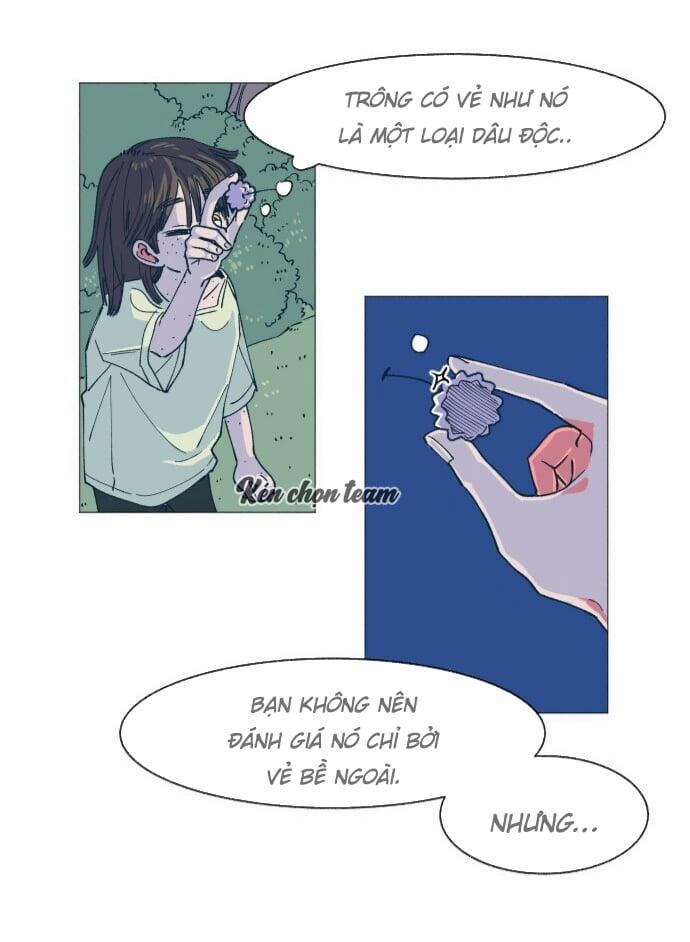 Khu Vườn Của Dam 4 trang 26