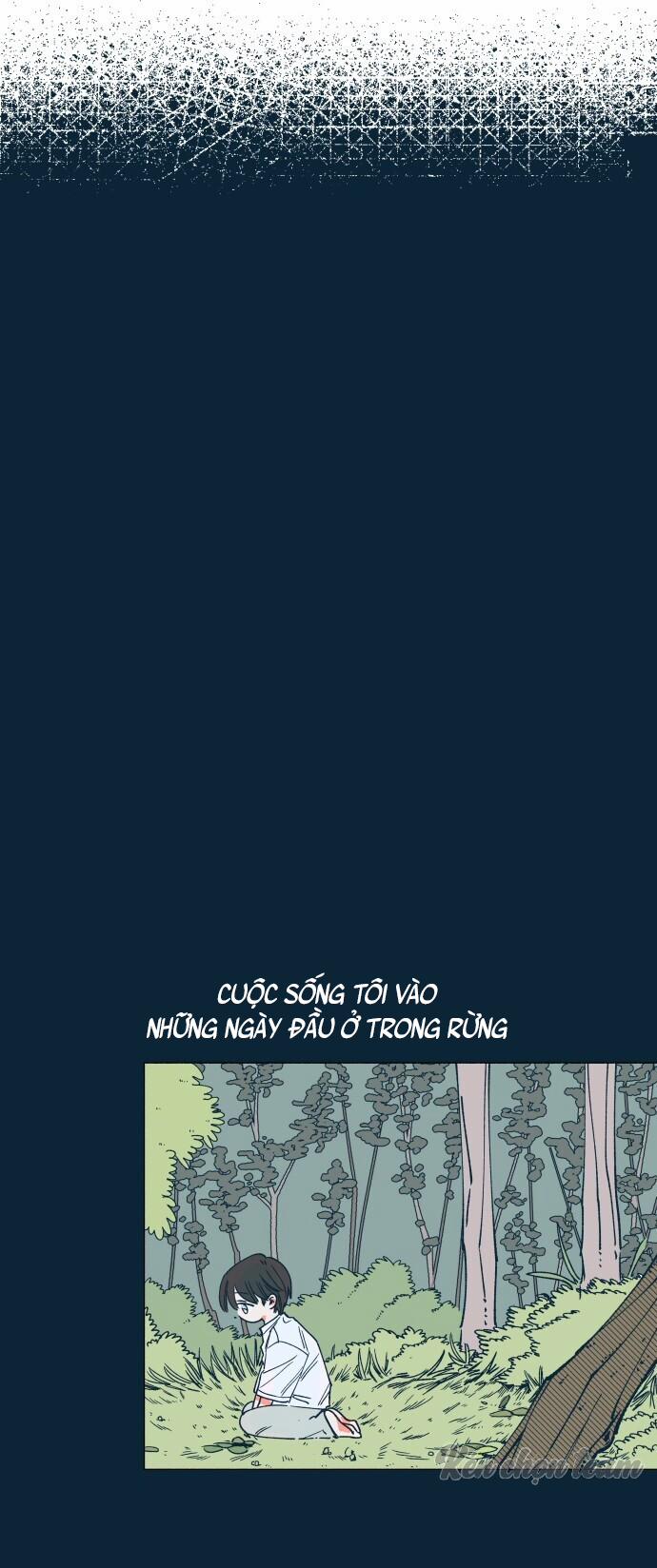 Khu Vườn Của Dam 6 trang 16