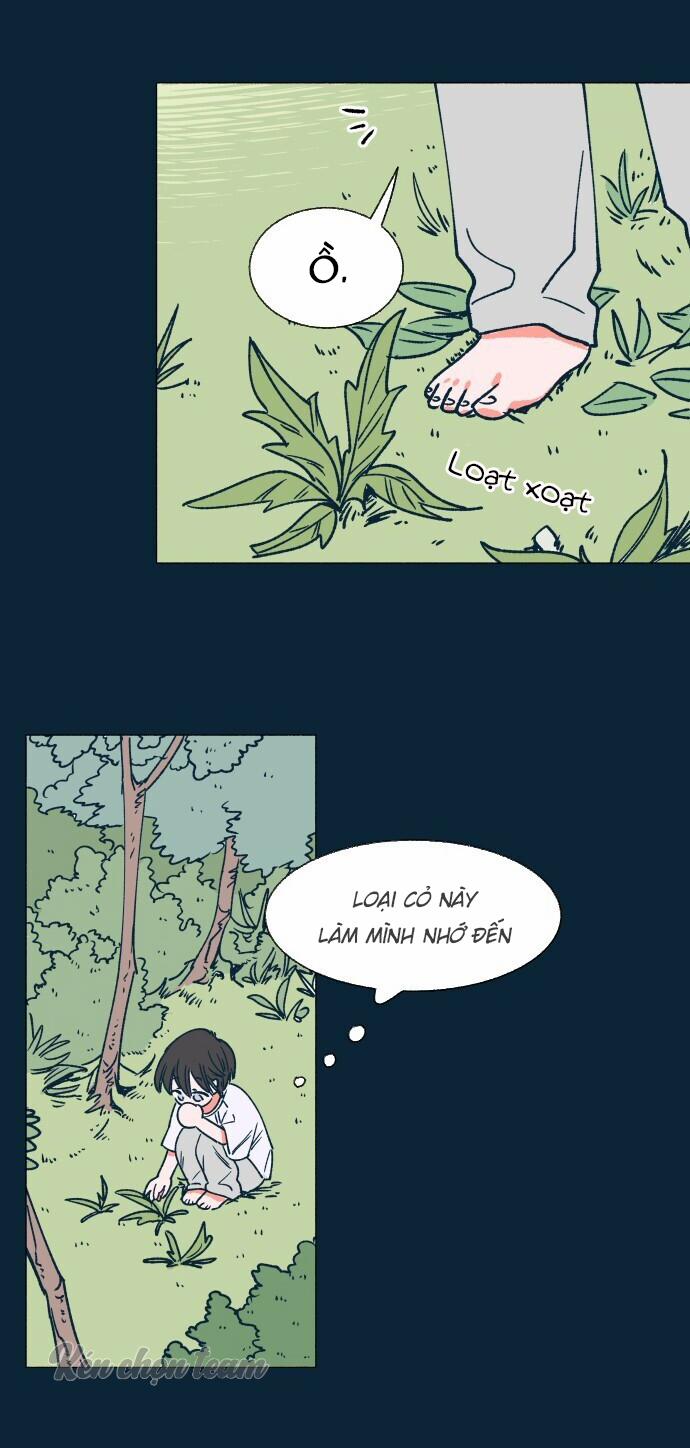 Khu Vườn Của Dam 6 trang 35