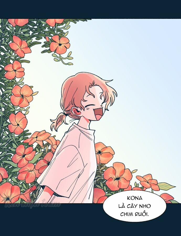 Khu Vườn Của Dam 6 trang 43