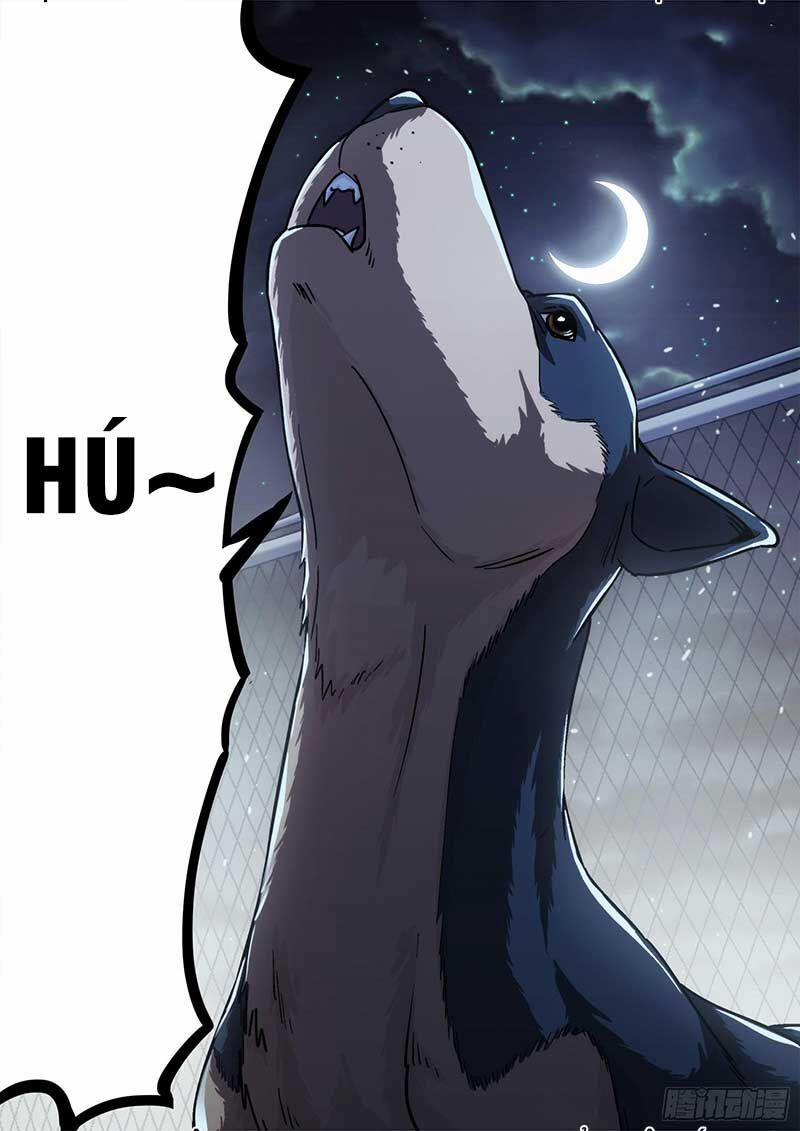 Khung Đỉnh Chi Thượng 70 trang 22