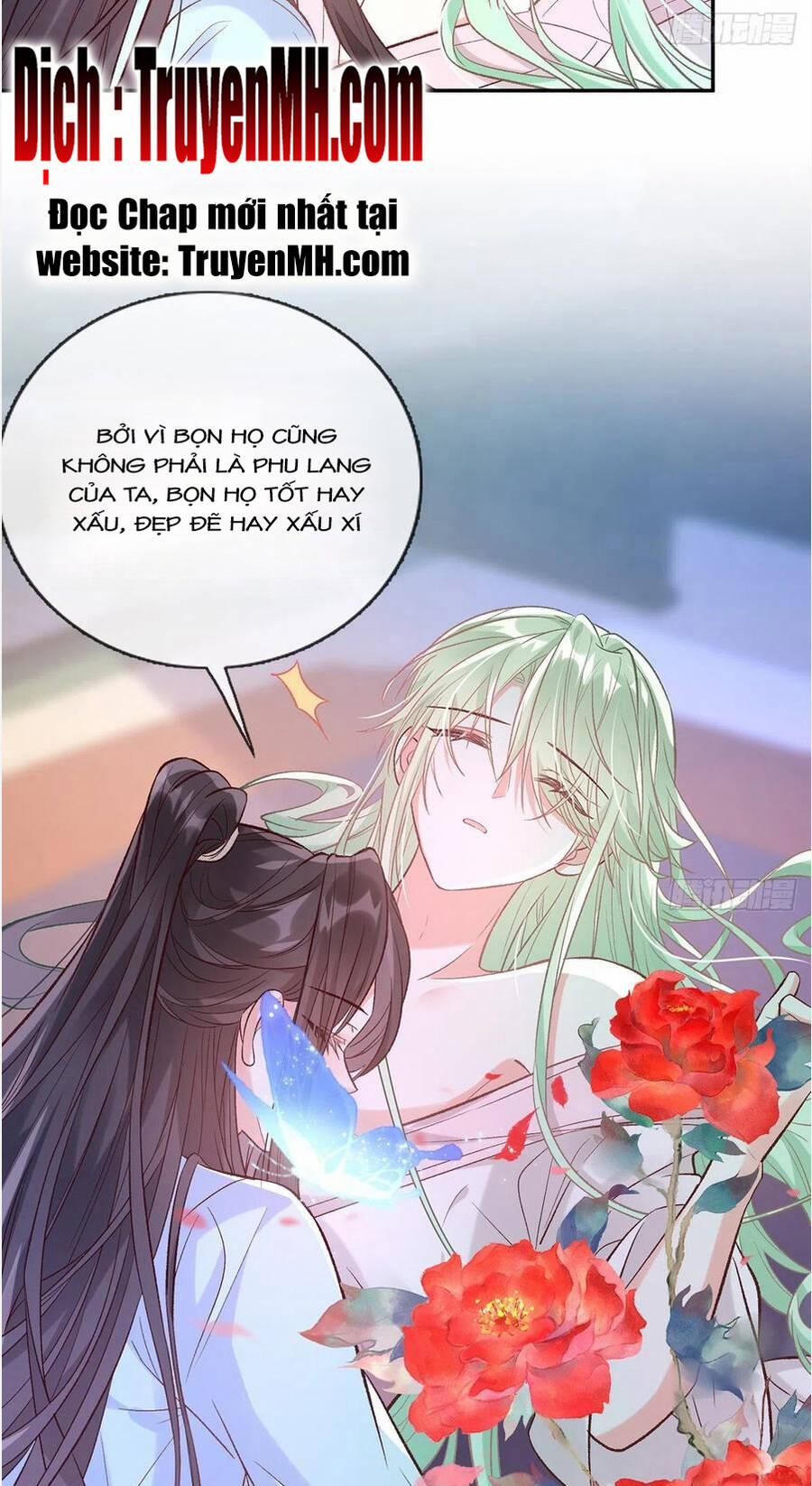 Kiều Mỵ Phu Lang, Tại Tuyến Lục Trà 102 trang 15