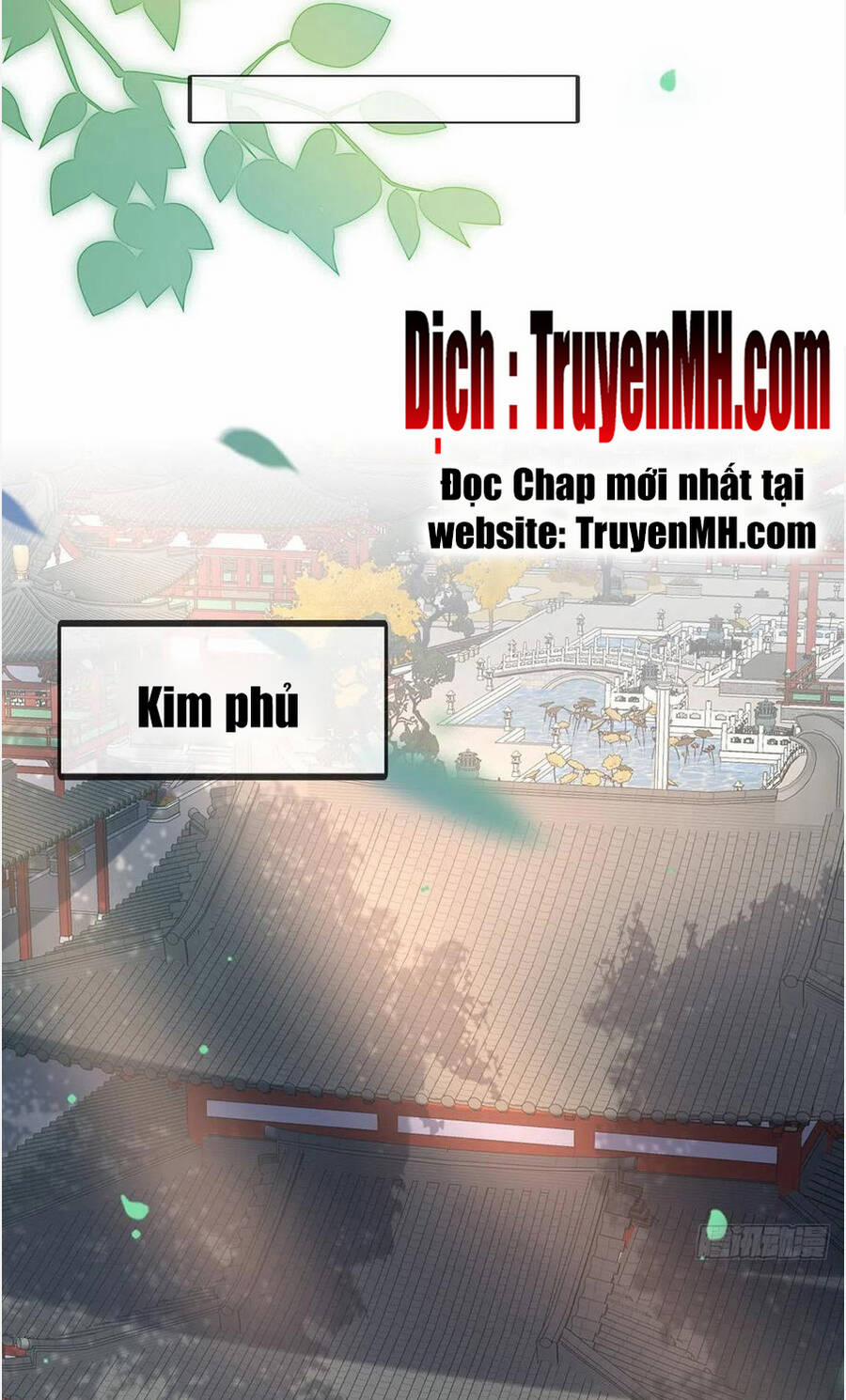 Kiều Mỵ Phu Lang, Tại Tuyến Lục Trà Chương 115 Trang 16