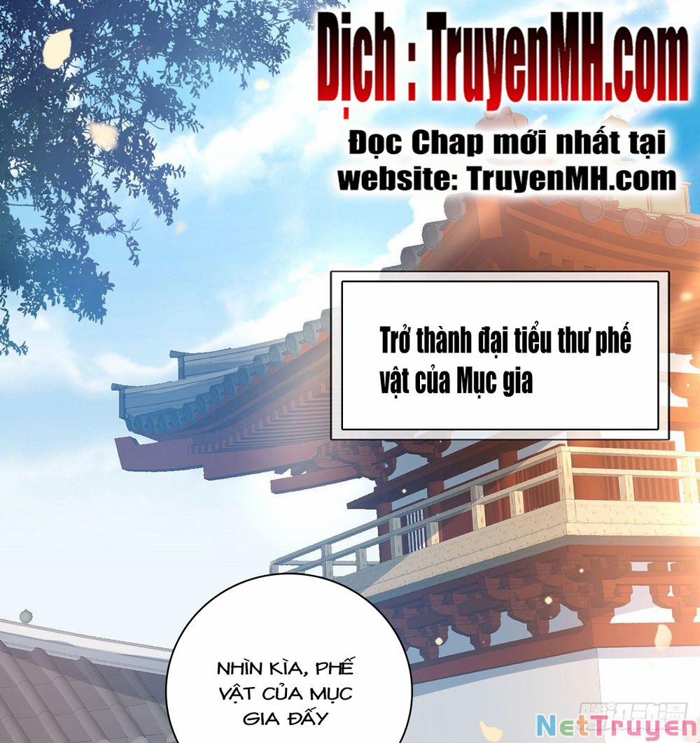 Kiều Mỵ Phu Lang, Tại Tuyến Lục Trà Chương 4 Trang 8