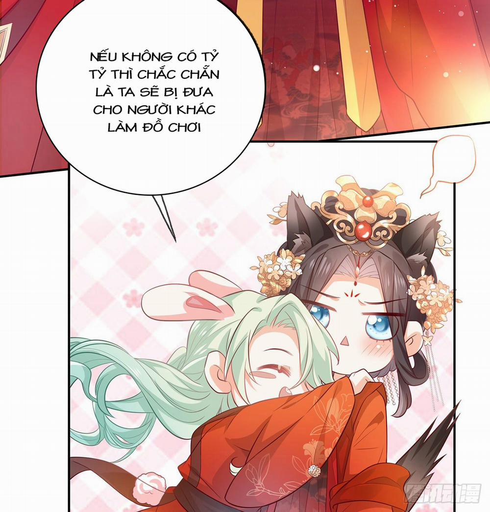 Kiều Mỵ Phu Lang, Tại Tuyến Lục Trà 5 trang 11