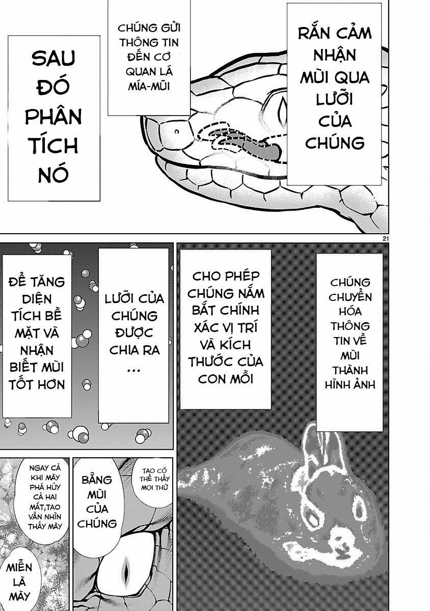 Killing Bites 14 trang 22