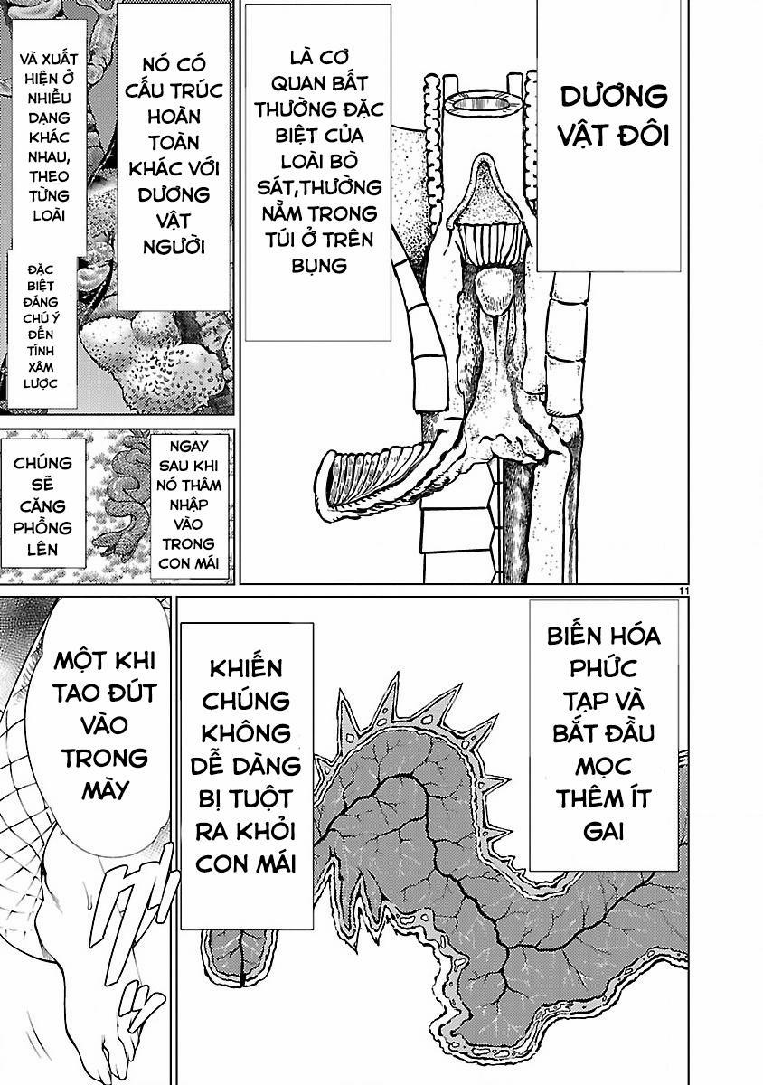 Killing Bites 15 trang 12