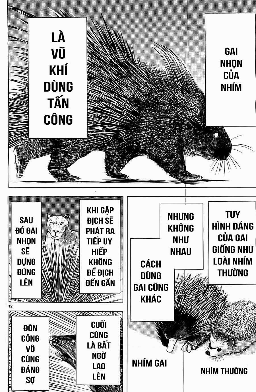 Killing Bites 3 trang 11