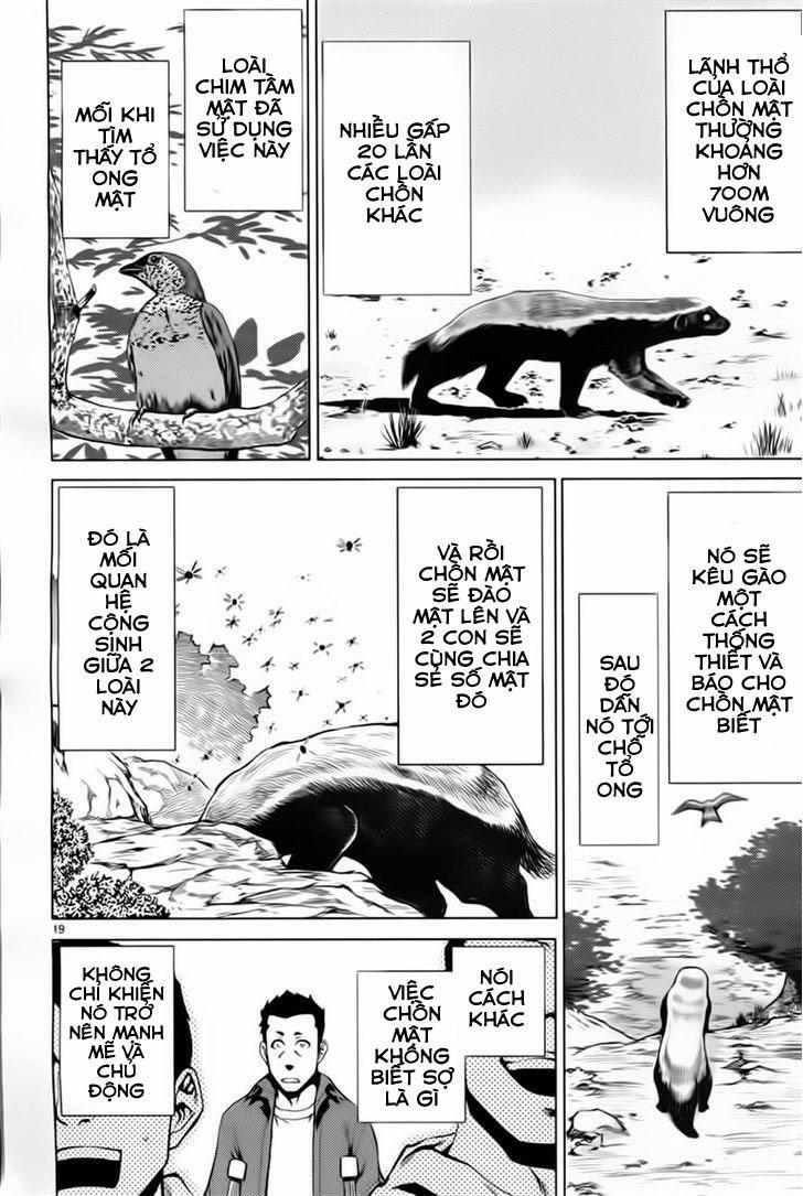 Killing Bites 6 trang 17