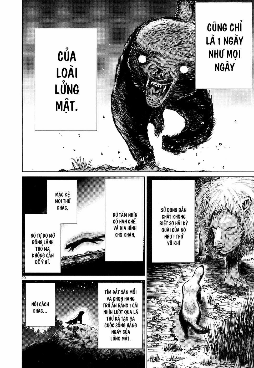 Killing Bites 8 trang 20