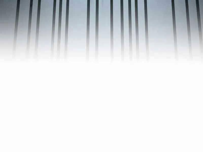 Kim Chiến Sĩ: Hành Trình Xây Dựng Đặc Tính 14 trang 214