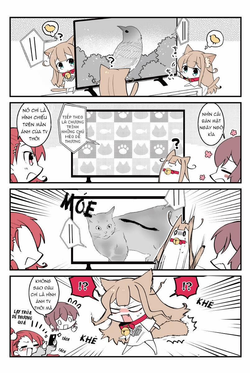 Kinako Của Gia Đình Ogura 3 trang 4