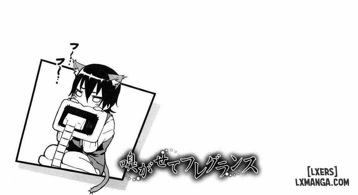 Koimitsu Fragrancee 3 trang 0