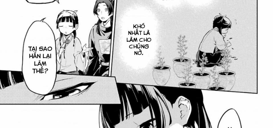 Kusuriya No Hitorigoto 36.2 trang 31