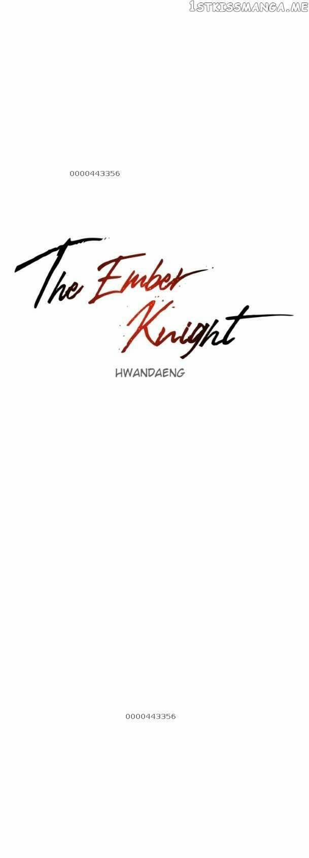 Kỵ Sĩ Báo Thù 111 trang 18