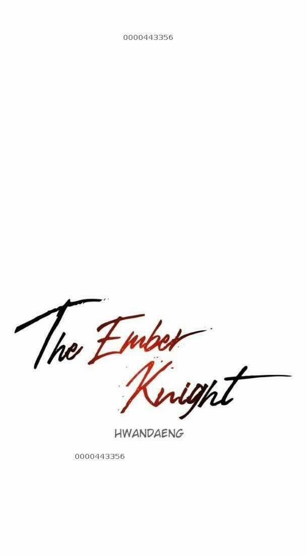 Kỵ Sĩ Báo Thù 113 trang 14